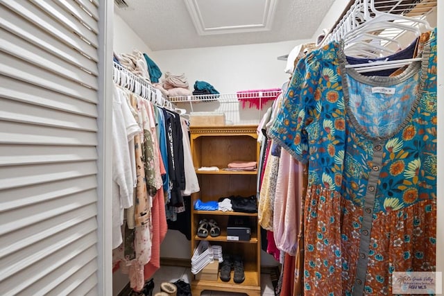 view of spacious closet