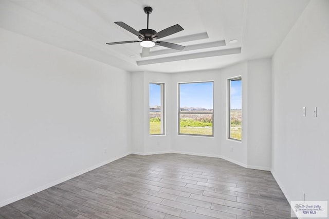 spare room featuring a raised ceiling, baseboards, and wood finished floors