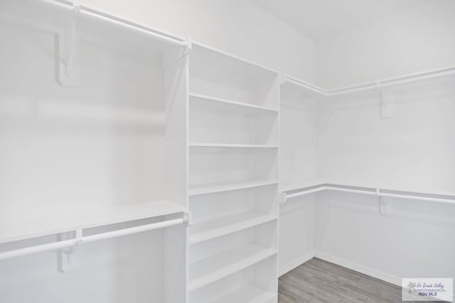 walk in closet featuring wood finished floors