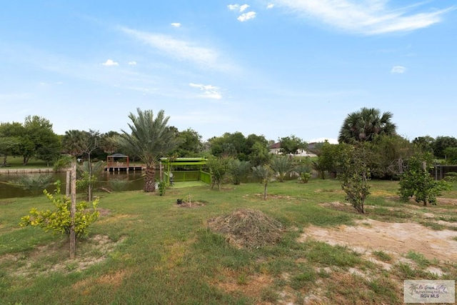 view of yard with a water view