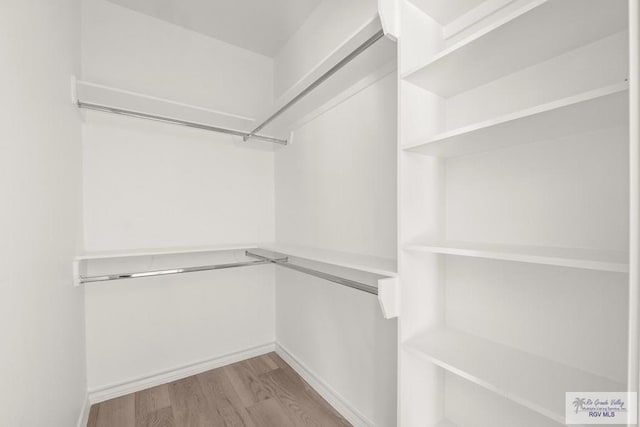 walk in closet featuring light wood-style flooring