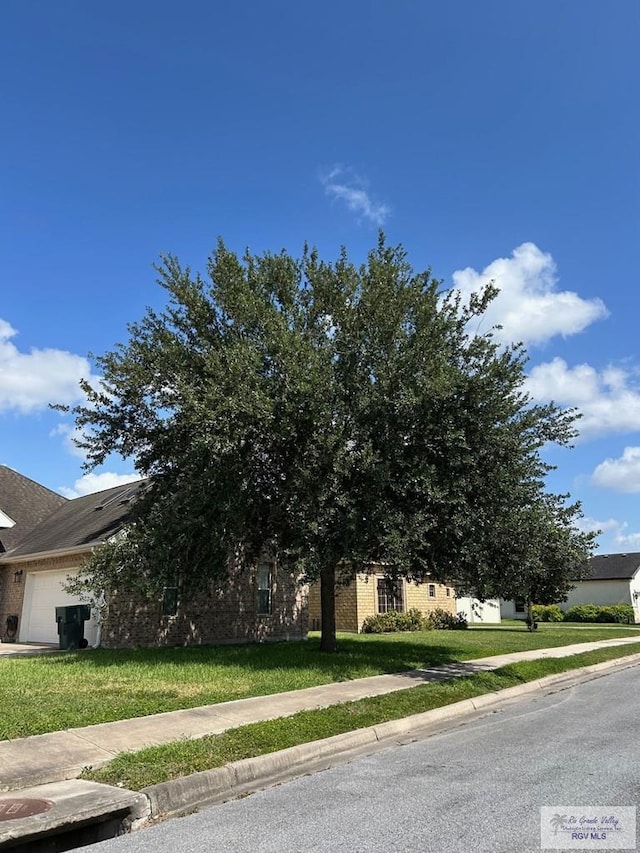 113 Wild Olive, Harlingen, TX 78552 - photo 3