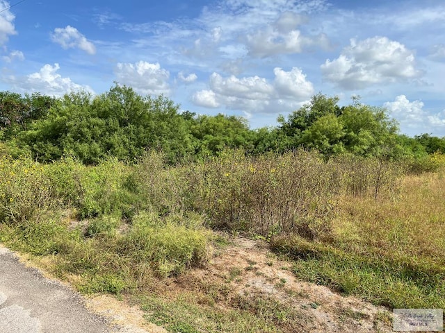 0000 Line 26 Rd, Rio Hondo, TX 78583 - photo 3