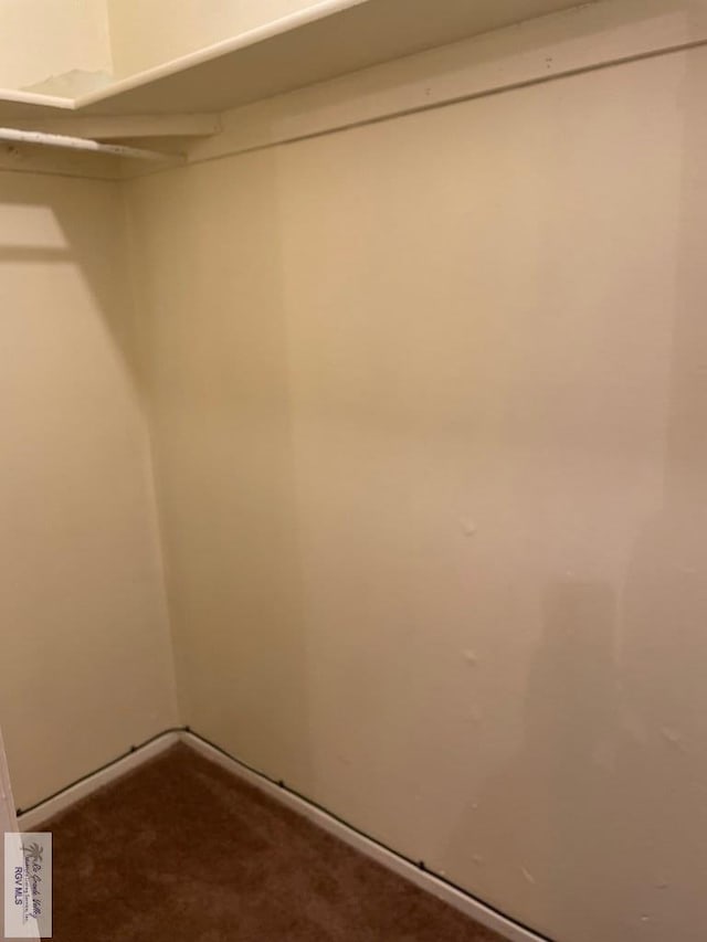 spacious closet featuring carpet floors