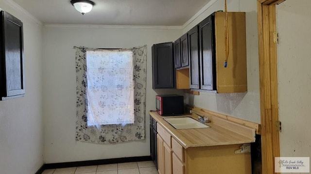 kitchen with crown molding, a healthy amount of sunlight, light countertops, and a sink