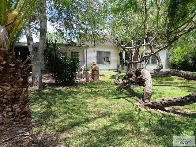 609 E Filmore Ave, Harlingen, TX 78550 - view of green lawn