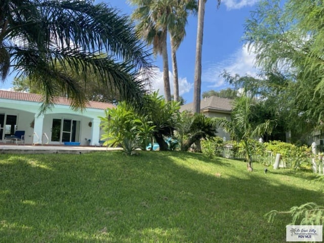 view of yard featuring a patio area