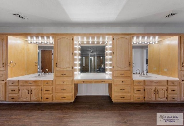 bathroom with vanity and hardwood / wood-style floors