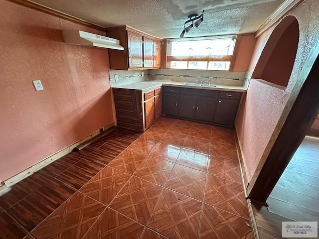 1022 E Monroe Ave, Harlingen, TX 78550 - kitchen with under cabinet range hood, baseboards, light countertops, a textured wall, and a sink