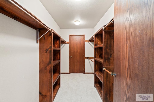 14823 S Valencia Cir, Harlingen, TX 78552 - walk in closet featuring carpet flooring