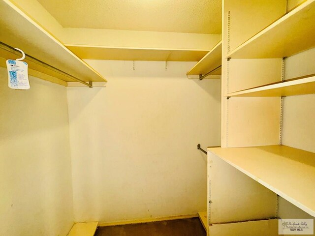 20 Casa Linda Unit 20, Brownsville, TX 78526 - view of walk in closet