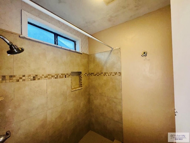 20 Casa Linda Unit 20, Brownsville, TX 78526 - bathroom featuring tiled shower