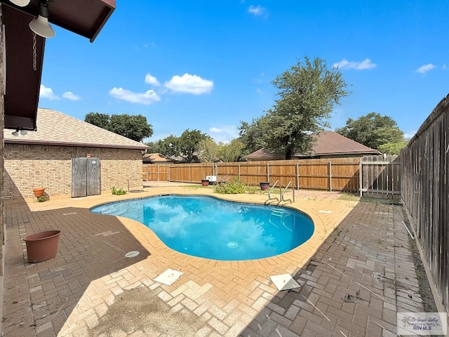 view of pool with a patio area