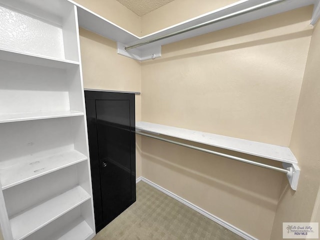 spacious closet featuring carpet floors