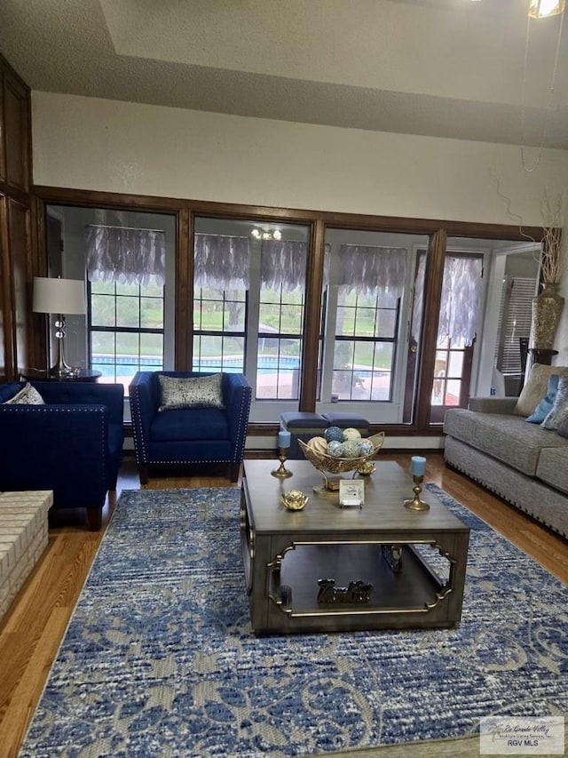 living room featuring hardwood / wood-style floors and a textured ceiling