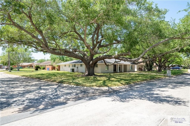 ranch-style home with a front lawn