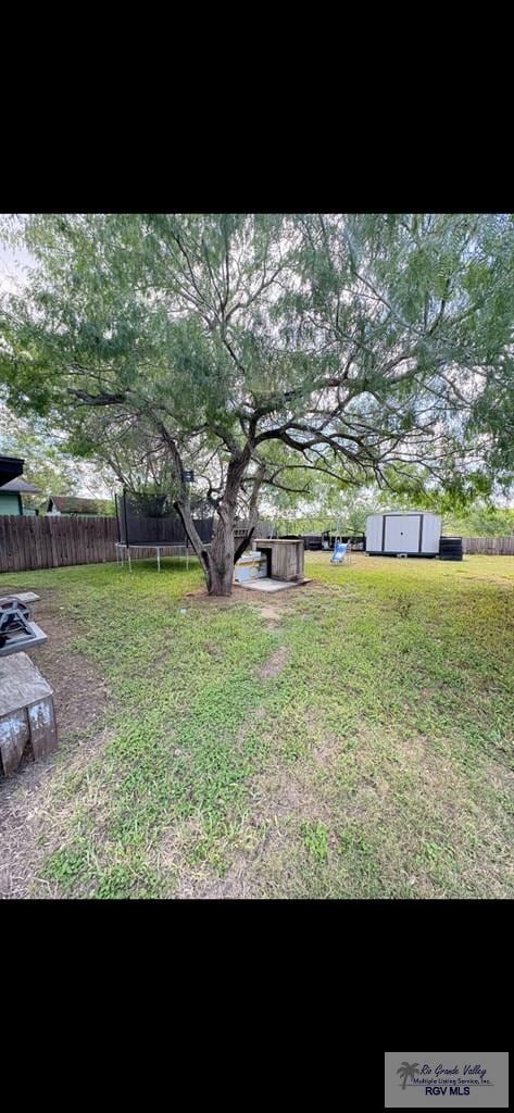 702 S California St, Harlingen, TX 78552 - view of yard