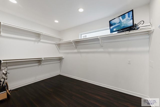 spacious closet with hardwood / wood-style flooring