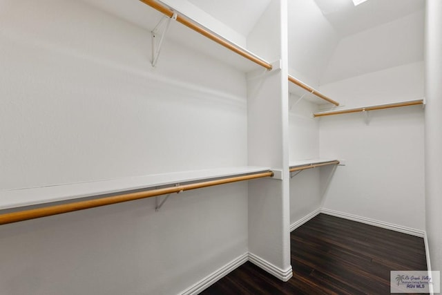 walk in closet featuring dark hardwood / wood-style floors