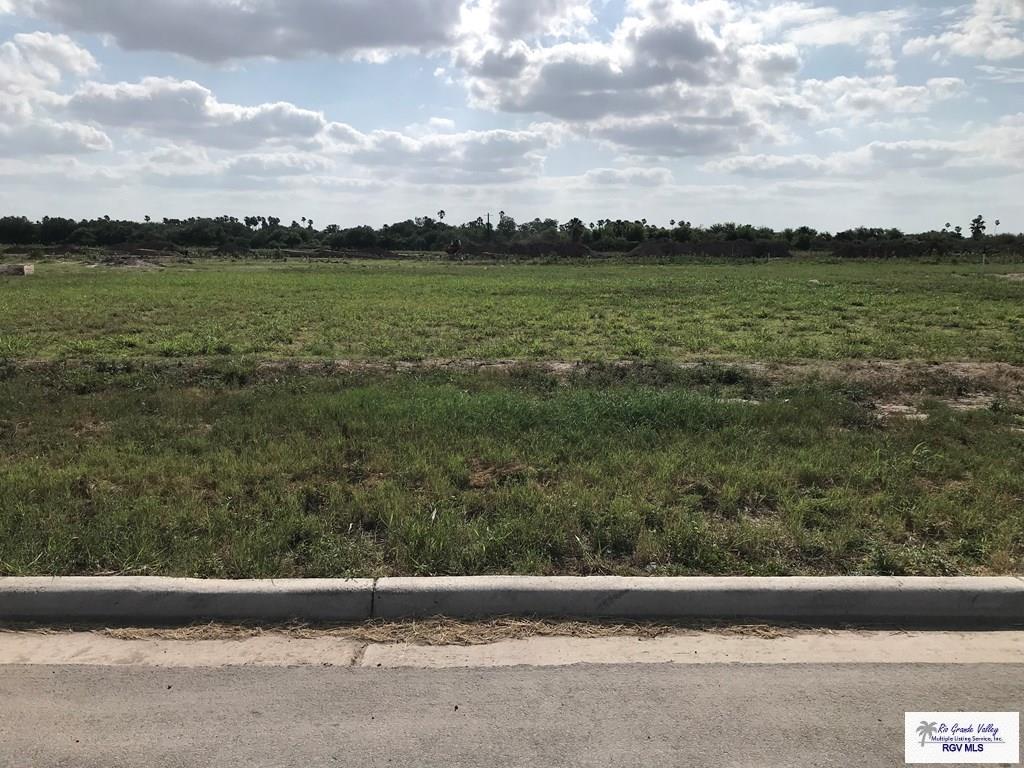 1609 Thacker Ln, Harlingen, TX 78552 - photo 1