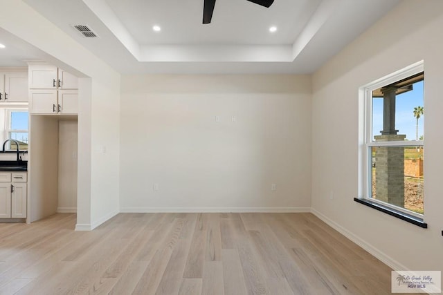 spare room featuring a raised ceiling, plenty of natural light, and light hardwood / wood-style flooring