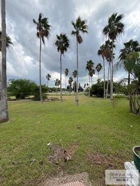 view of home's community featuring a yard