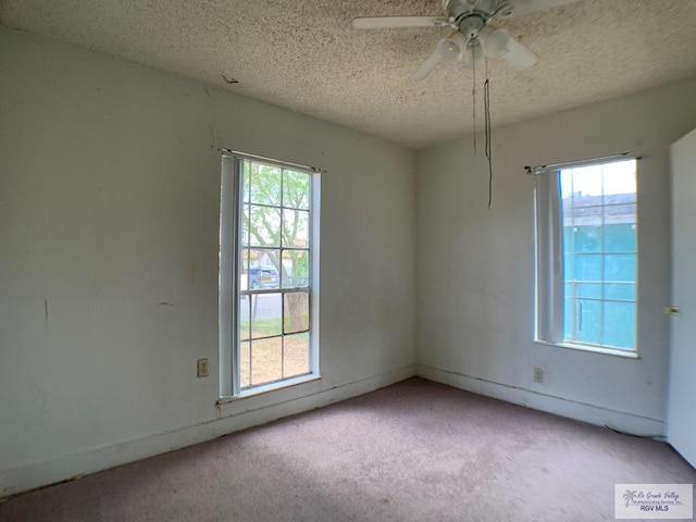 carpeted spare room with a healthy amount of sunlight and a textured ceiling