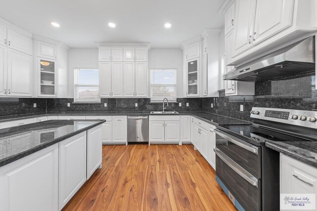 kitchen featuring white cabinetry, light hardwood / wood-style floors, and appliances with stainless steel finishes