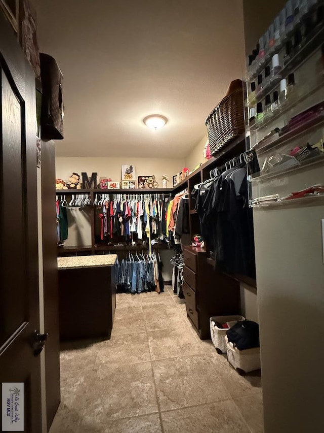 2909 Mi Cielo Dr, Weslaco, TX 78599 - view of spacious closet
