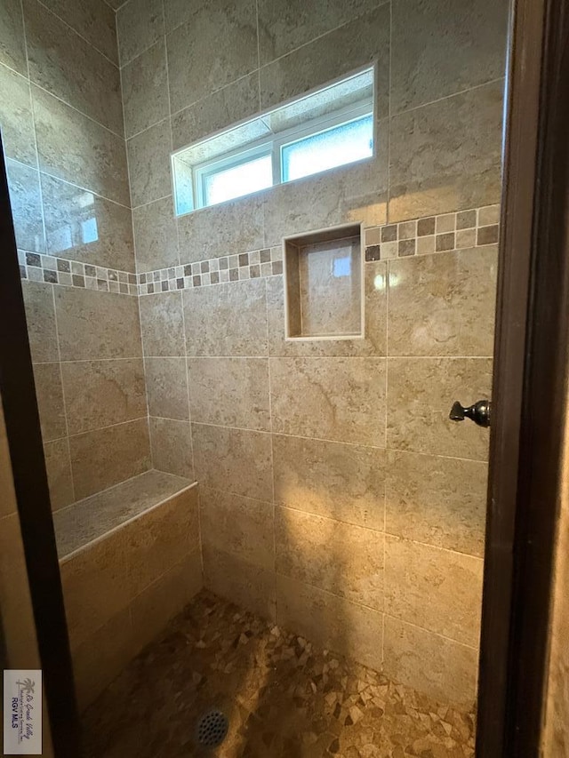 2909 Mi Cielo Dr, Weslaco, TX 78599 - bathroom featuring a tile shower