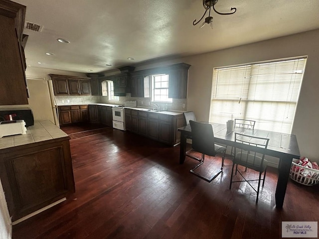 kitchen featuring dark brown cabinetry, sink, tasteful backsplash, dark hardwood / wood-style flooring, and electric stove