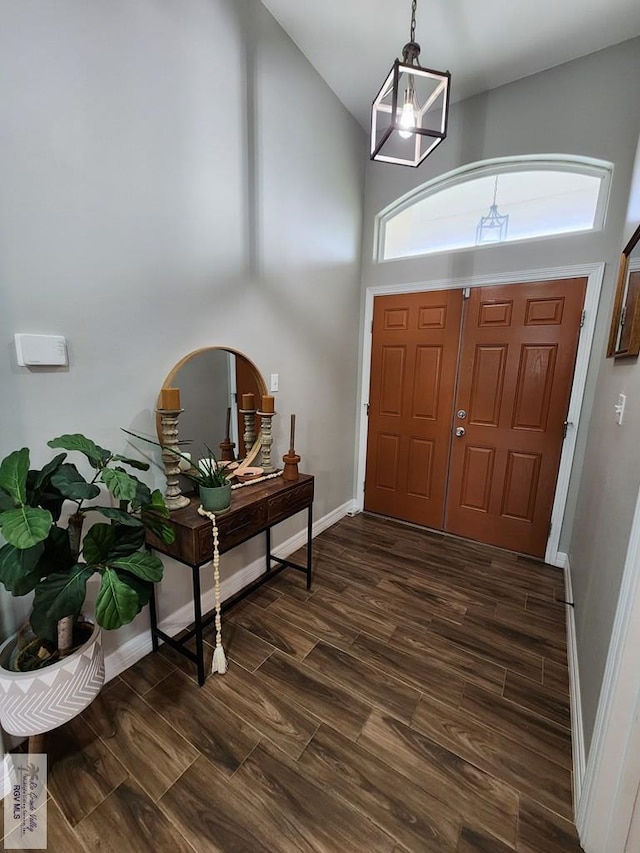 entryway featuring dark hardwood / wood-style flooring and a high ceiling