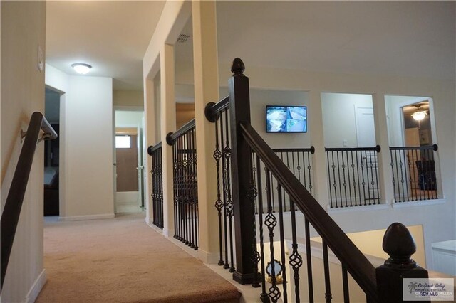 staircase featuring carpet floors