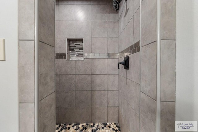 25096 Rabb Rd, La Feria, TX 78559 - bathroom with tiled shower