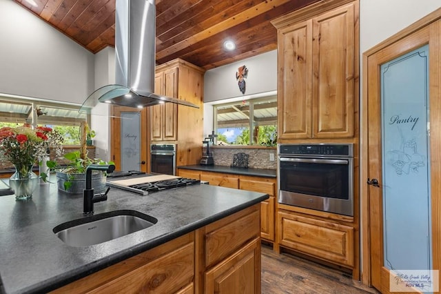 25096 Rabb Rd, La Feria, TX 78559 - kitchen featuring stainless steel appliances, dark countertops, extractor fan, wood ceiling, and dark wood-style floors