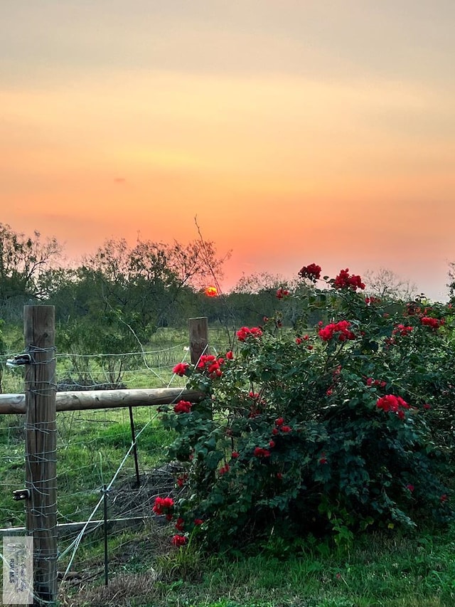 25096 Rabb Rd, La Feria, TX 78559 - view of yard with a view of countryside