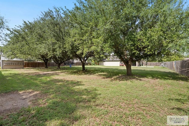 313 Scarlett Cir, Harlingen, TX 78552 - view of yard
