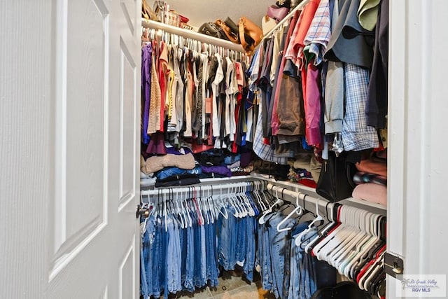 313 Scarlett Cir, Harlingen, TX 78552 - view of spacious closet