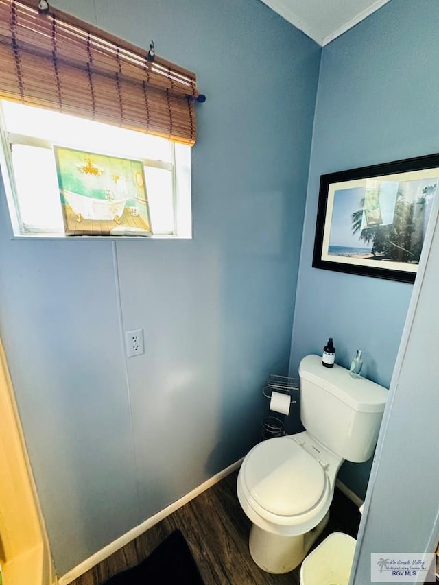 bathroom featuring hardwood / wood-style floors, toilet, and plenty of natural light