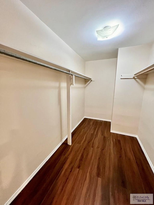 40 Cherokee Ave, Harlingen, TX 78552 - walk in closet with dark wood-type flooring and a barn door