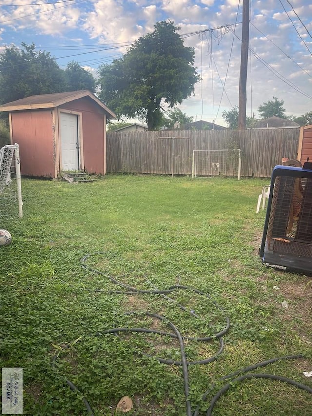 view of yard featuring a storage shed