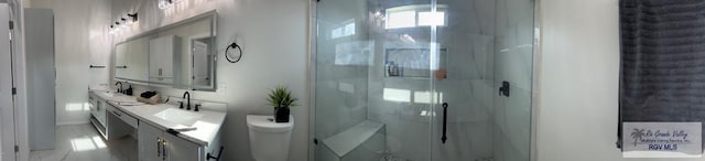 bathroom with vanity, toilet, and a shower with shower door