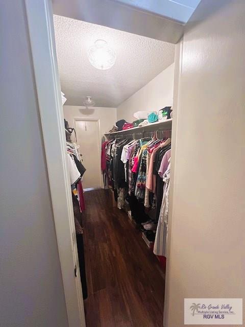 spacious closet with hardwood / wood-style floors