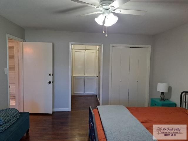 bedroom with two closets, ceiling fan, and dark wood-type flooring