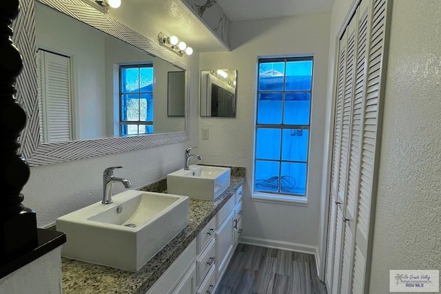 bathroom featuring wood-type flooring and vanity