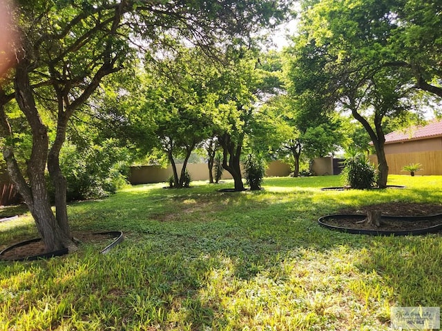5362 Rustic Manor Dr, Brownsville, TX 78526 - photo 5