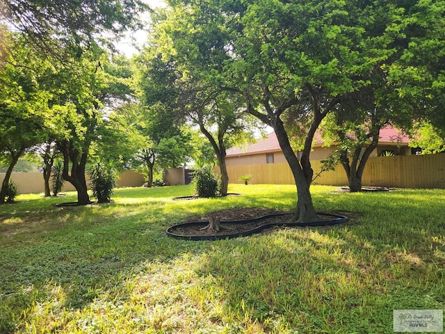 5362 Rustic Manor Dr, Brownsville, TX 78526 - photo 3