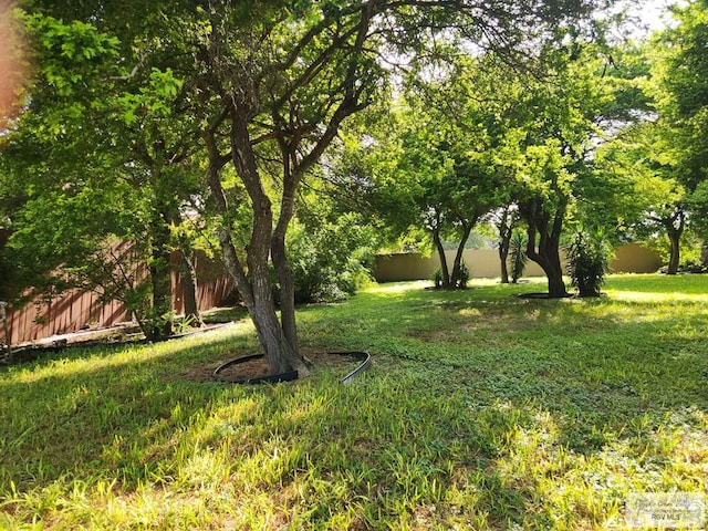 5362 Rustic Manor Dr, Brownsville, TX 78526 - photo 4