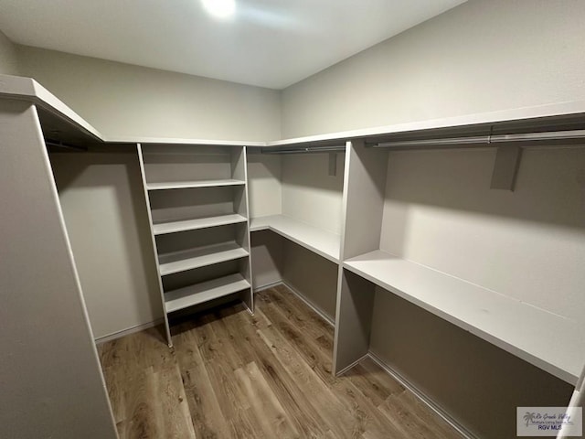 spacious closet with wood-type flooring