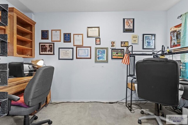 1730 Christian Cir, Harlingen, TX 78550 - view of carpeted office